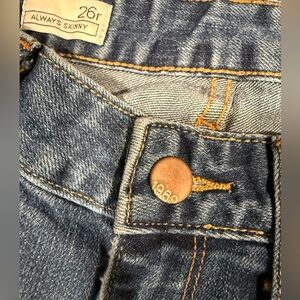 Always Skinny GAP Blue Jeans